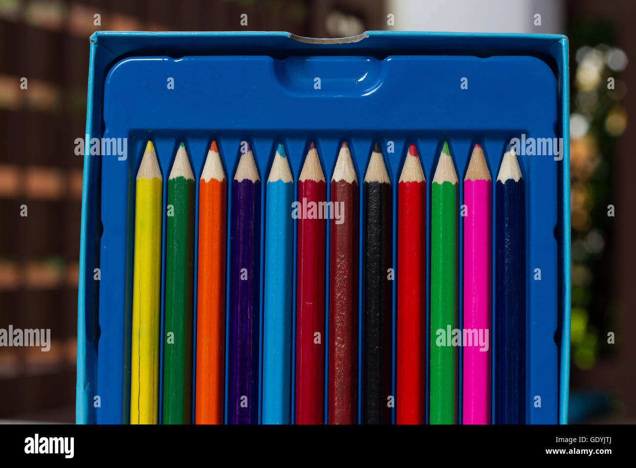Crayon a pencil or stick of colored chalk or wax used for drawing