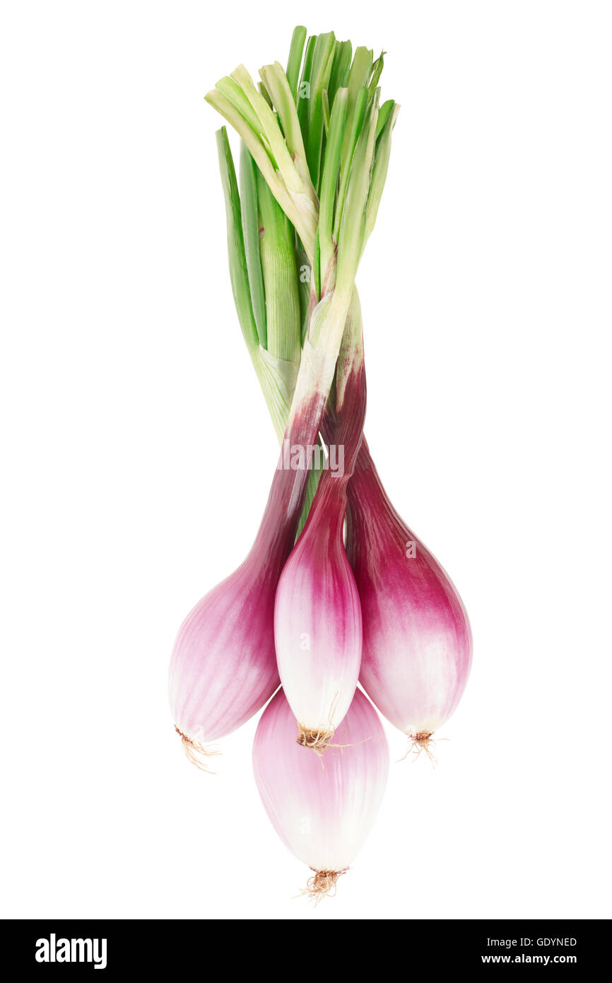 The sweet red onion of tropea hi-res stock photography and images - Alamy