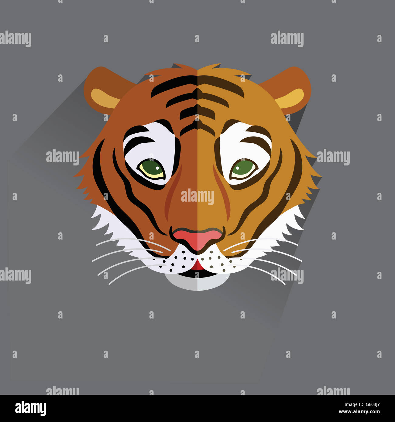 Head of a tiger Stock Photo - Alamy