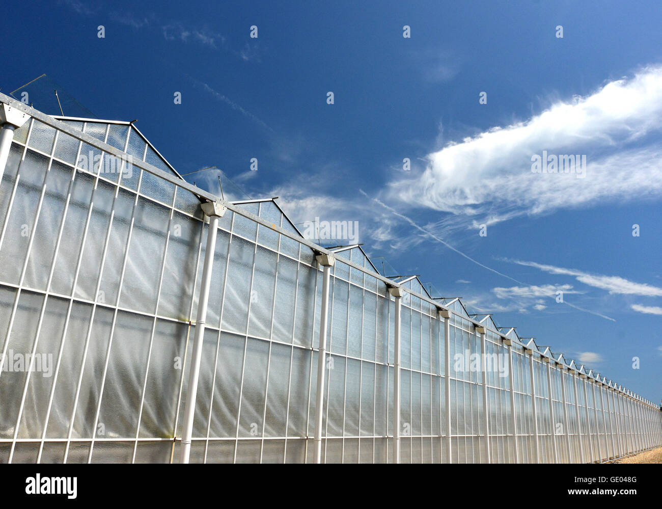 Tangmere nurseries, one of the largest greenhouses in Europe Stock