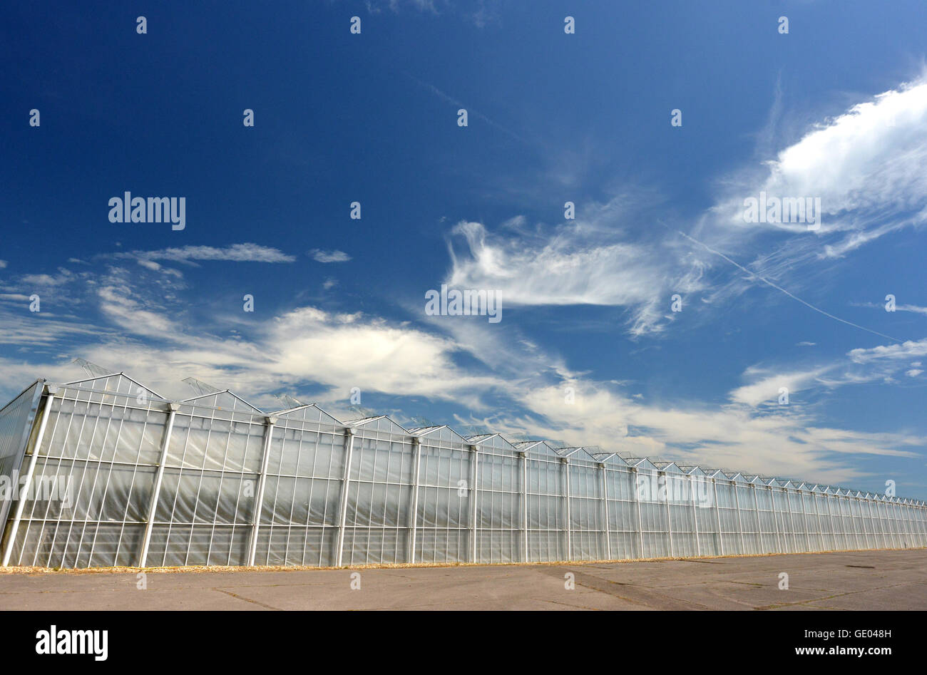 Tangmere nurseries, one of the largest greenhouses in Europe Stock Photo
