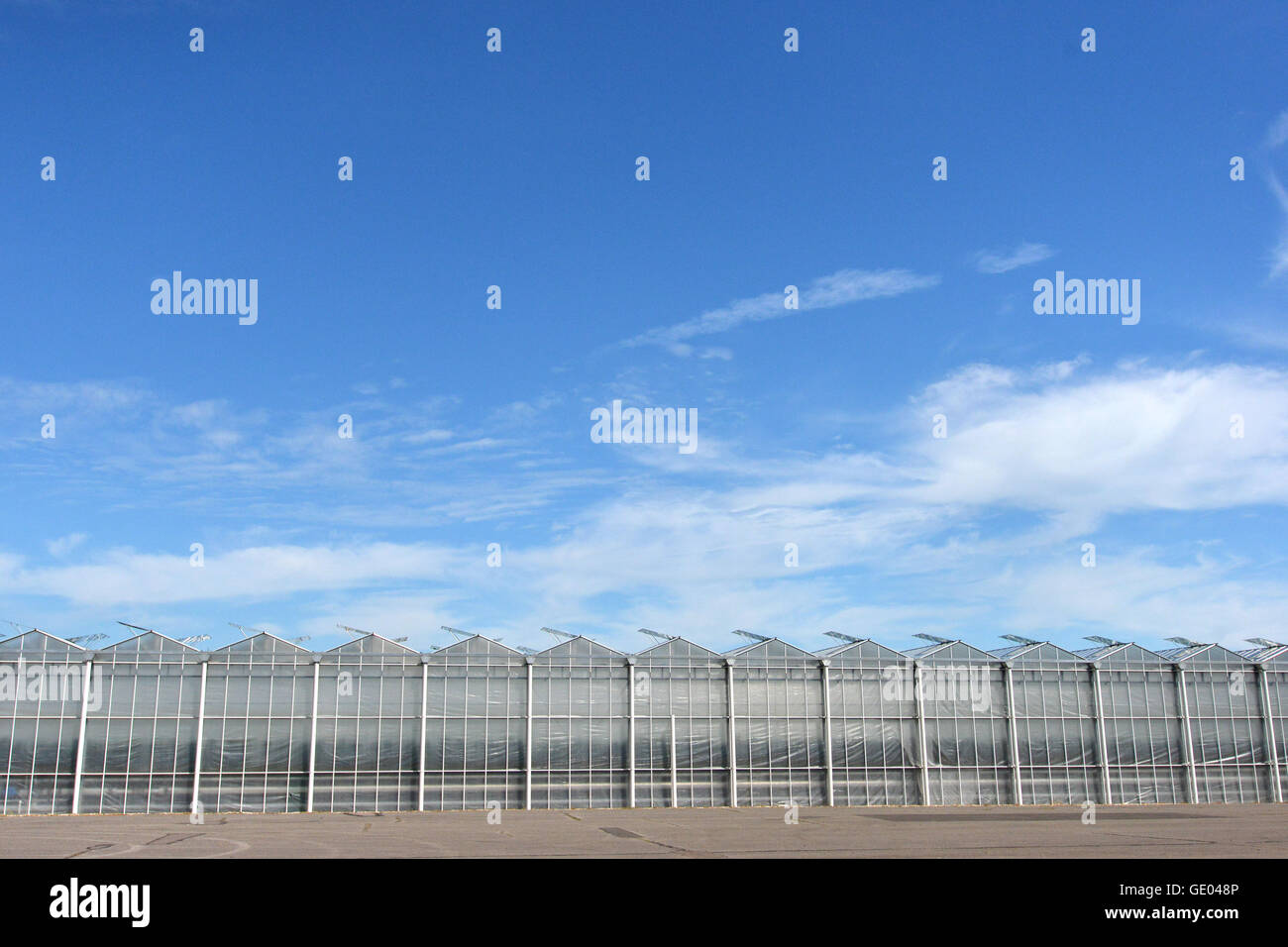 Tangmere nurseries, one of the largest greenhouses in Europe Stock Photo Alamy