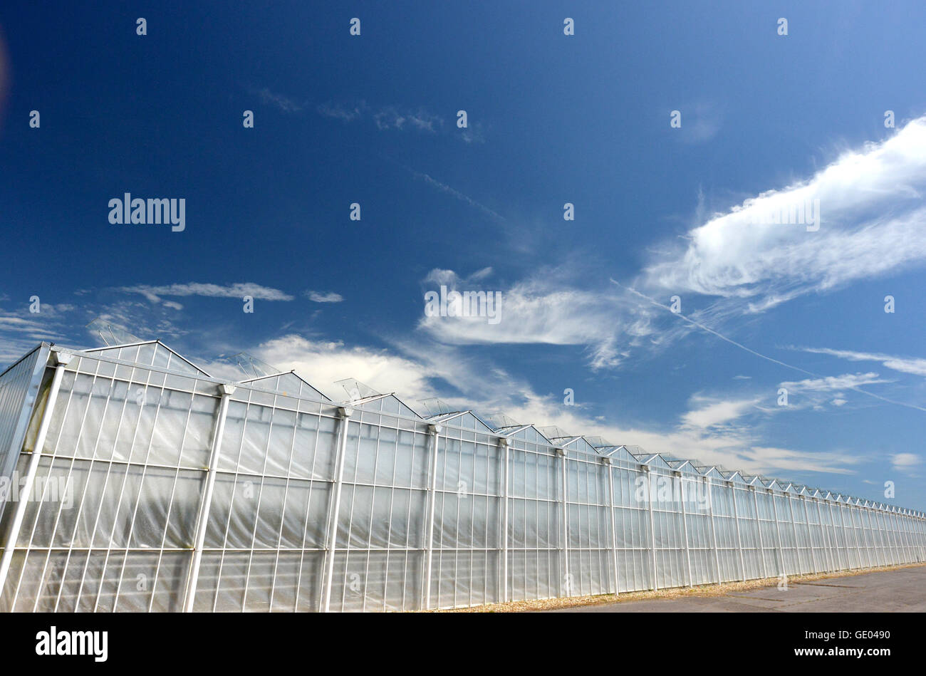 Tangmere nurseries, one of the largest greenhouses in Europe Stock Photo