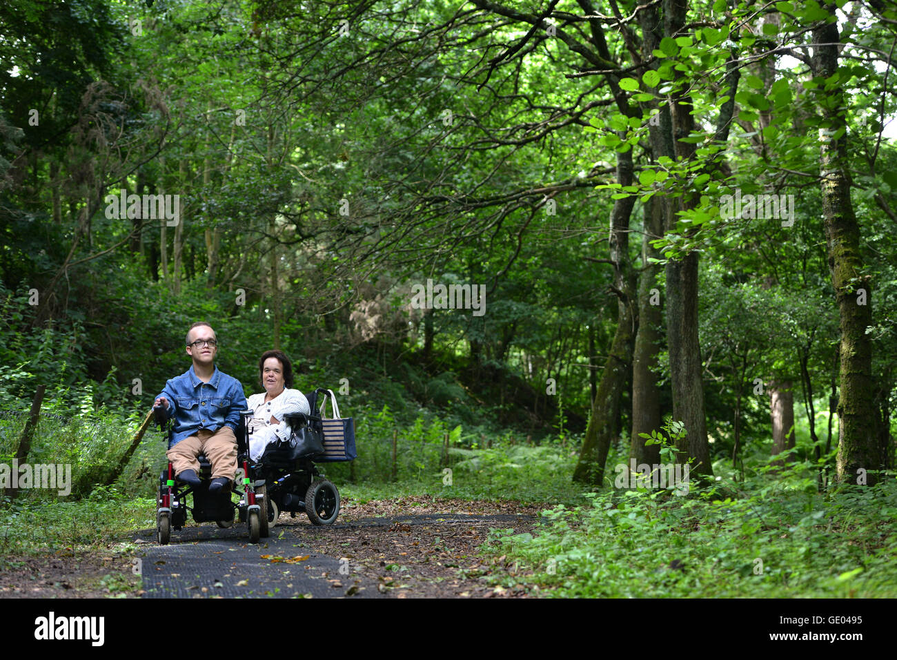 Wheelchair users enjoying a woodland trail, Sussex Stock Photo