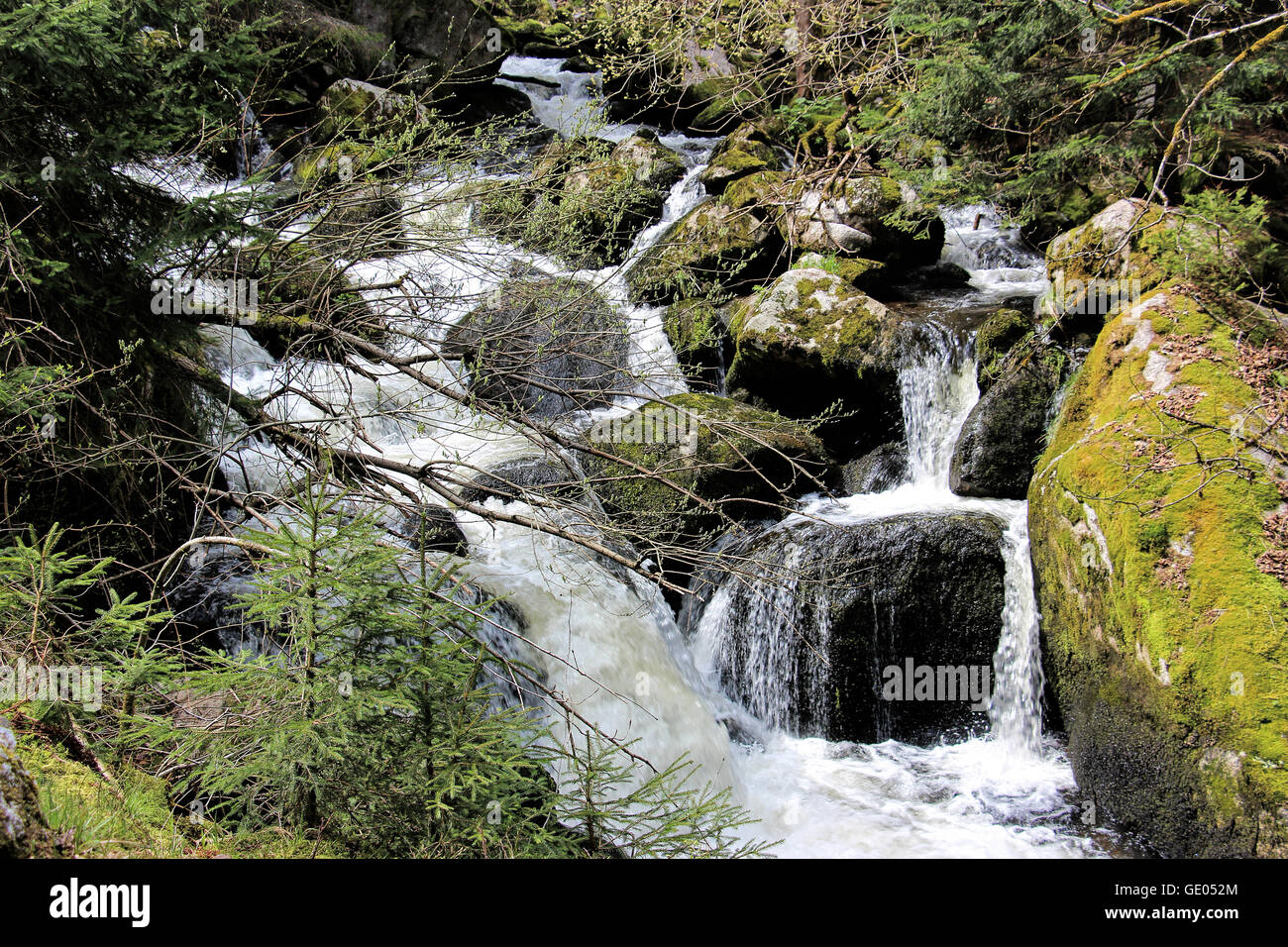 Triberg waterfall hi-res stock photography and images - Alamy