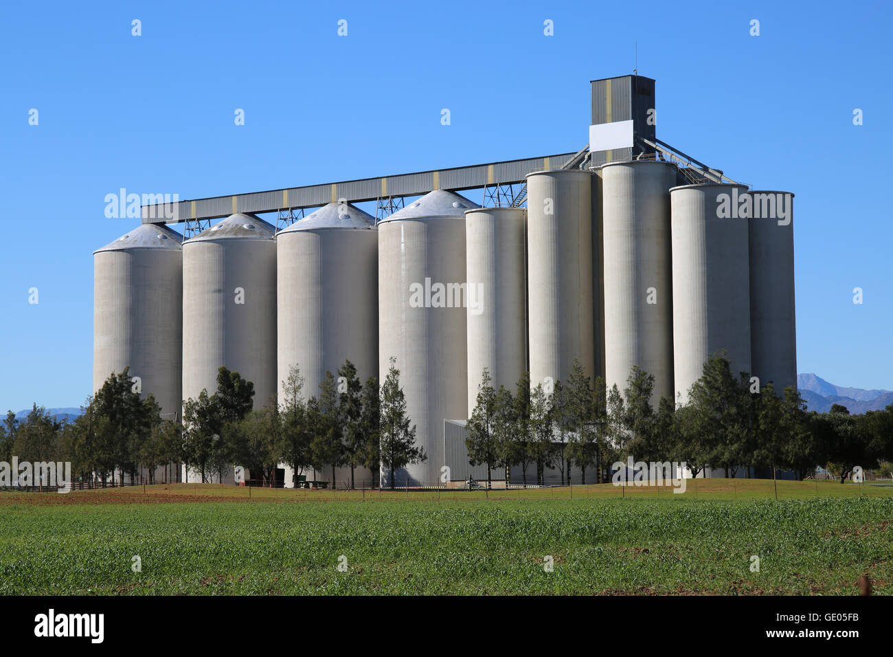 A wheat (Triticum) grain silo in the Swartland near Piketberg, South Africa Stock Photo