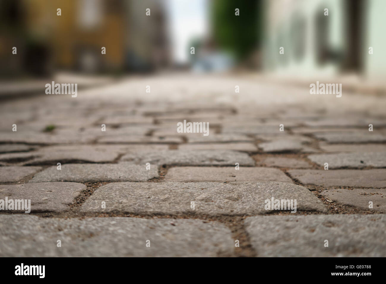 perspective view of old paved road in town Stock Photo