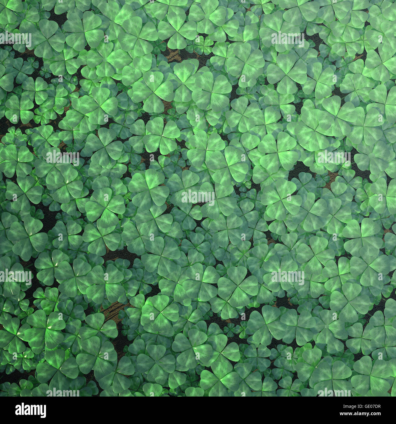 Four-leaf clover field for background, top view. 3d illustration high resolution Stock Photo