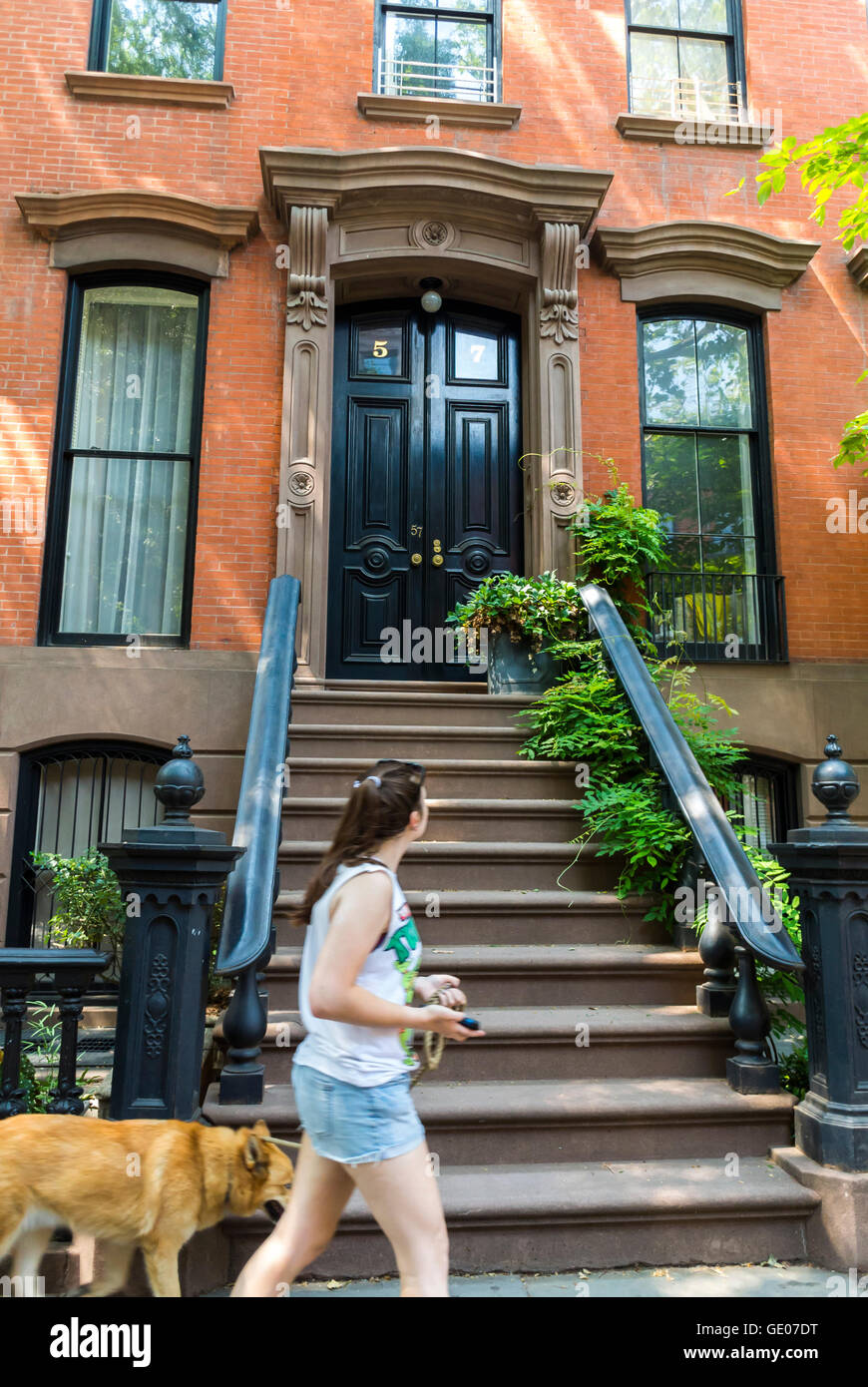New York City, NY, USA,  Woman Walking dog, Greenwich Village Neighborhood, Manhattan, Townhouse Front Door and Steps, Perry Street , brownstone houses Stock Photo