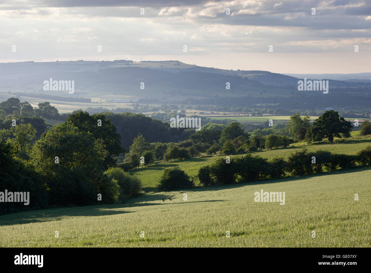 View to Bredon Hill from Cutsdean, Cotswolds, Gloucestershire, England, United Kingdom, Europe Stock Photo