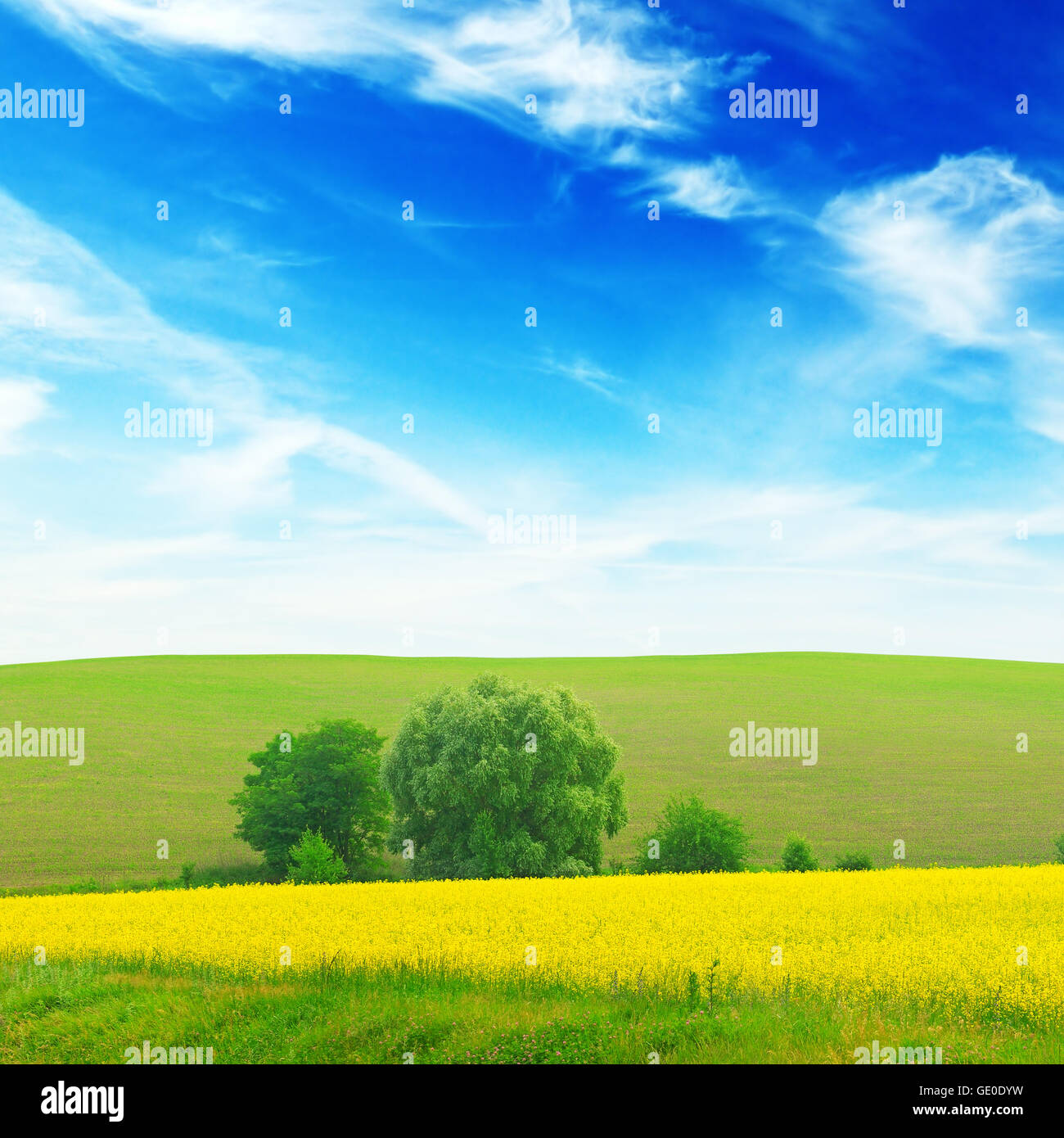 green field and blue sky Stock Photo - Alamy
