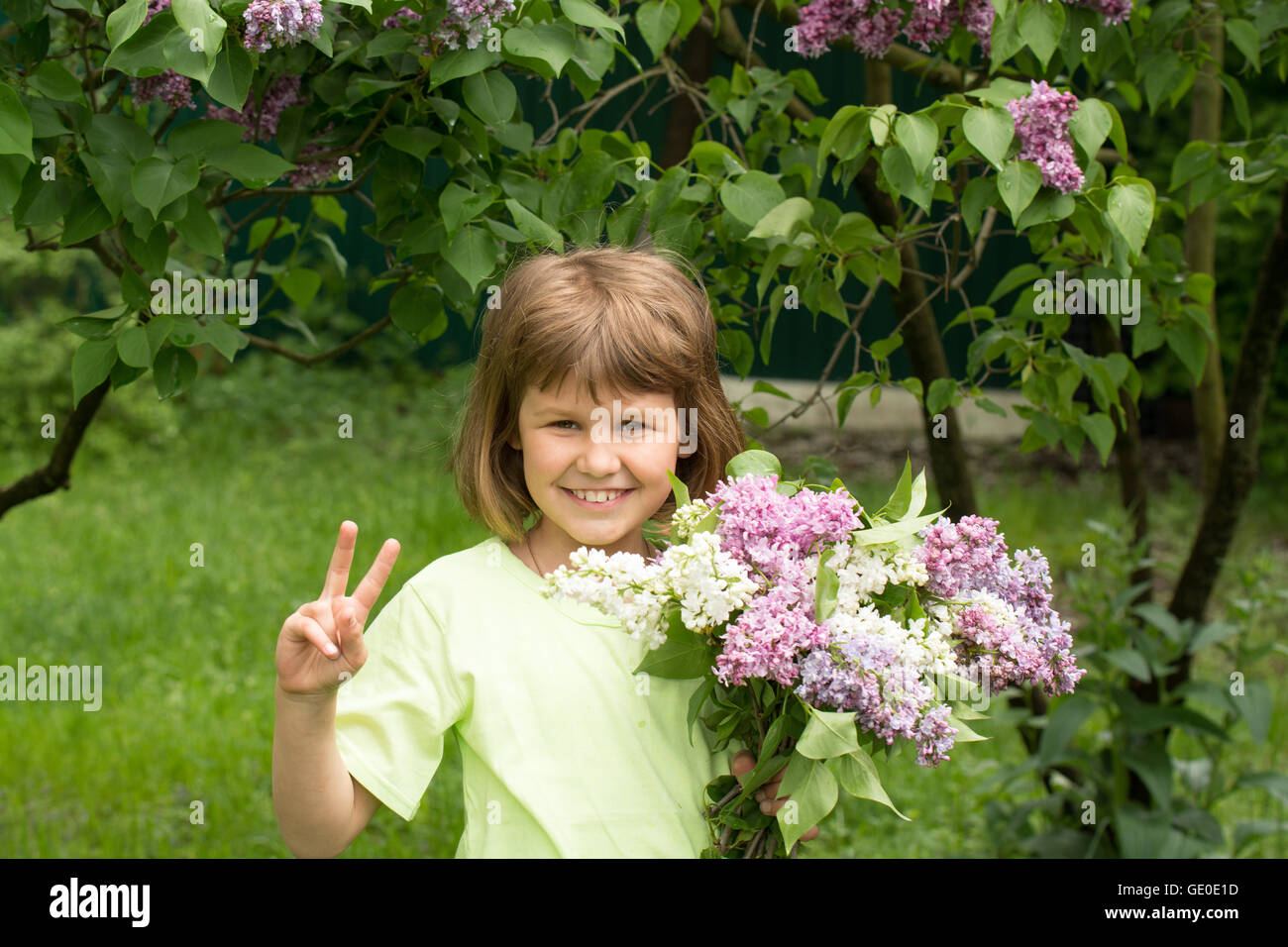 Girl with a bouquet of lilacs Stock Photo - Alamy