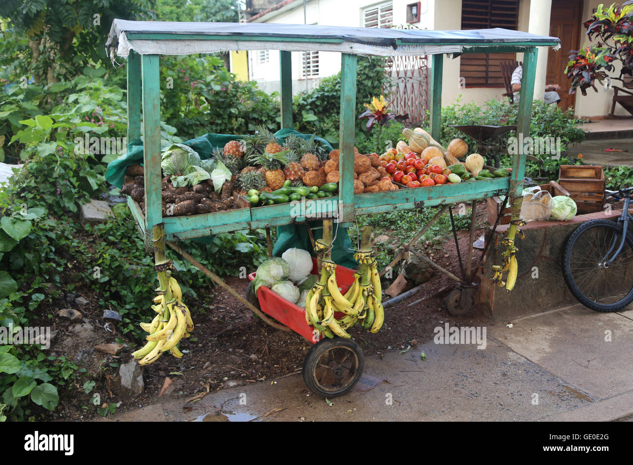 Tomatoes roadside vegetable stand in hires stock photography and