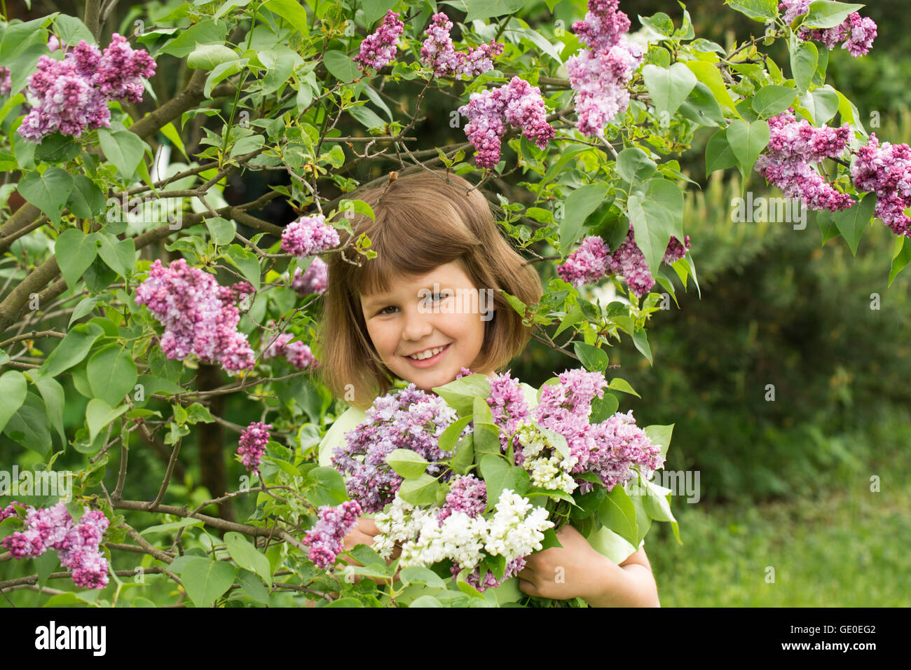 Girl with a bouquet of lilacs Stock Photo - Alamy