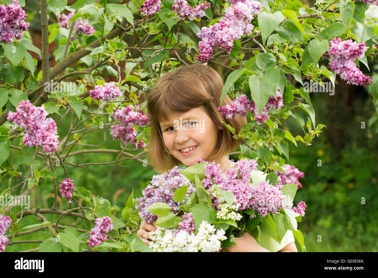 Girl with a bouquet of lilacs Stock Photo - Alamy