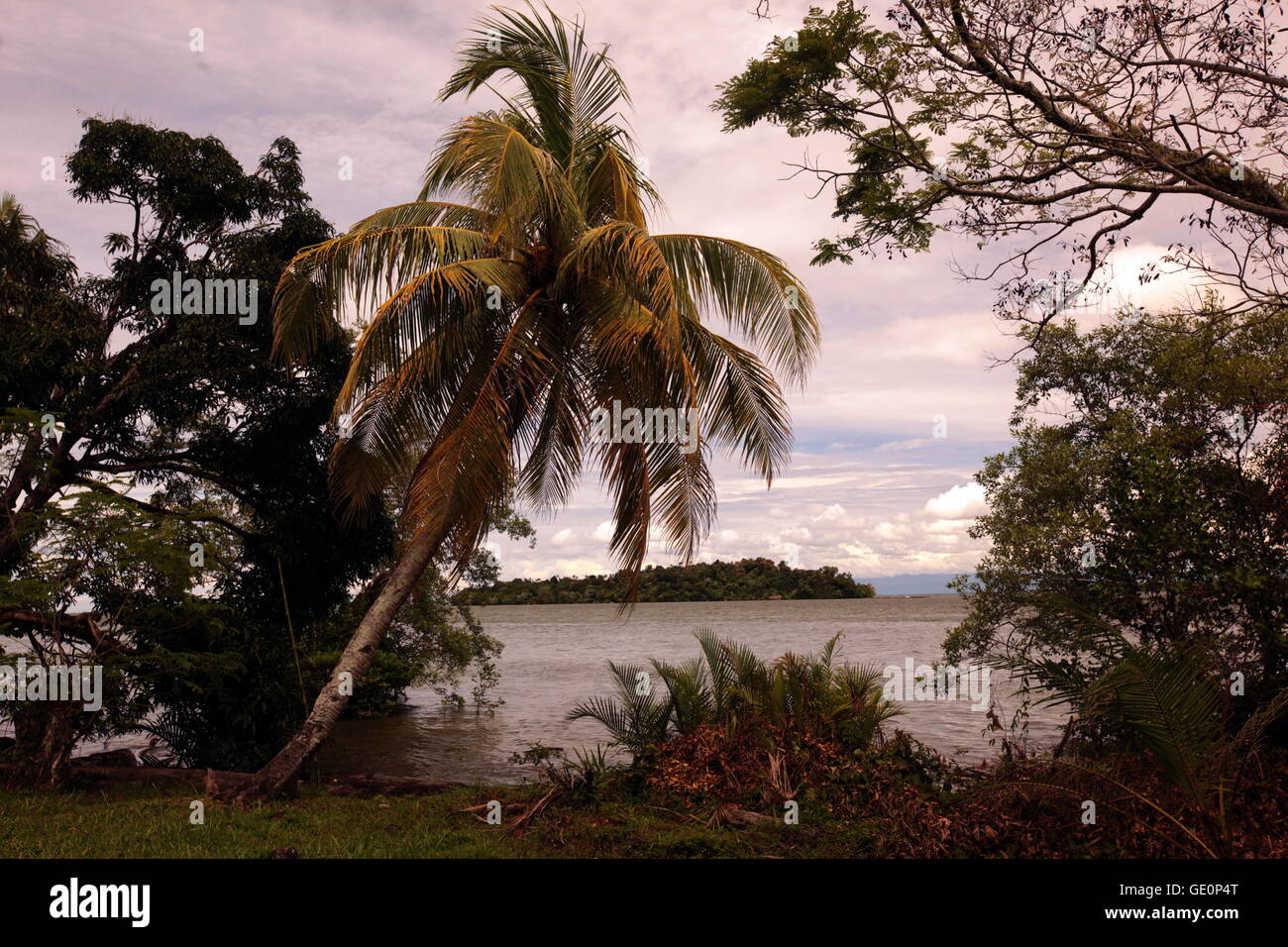 a Beach on the coast near the city of Bandar seri Begawan in the country of Brunei Darussalam on Borneo in Southeastasia. Stock Photo