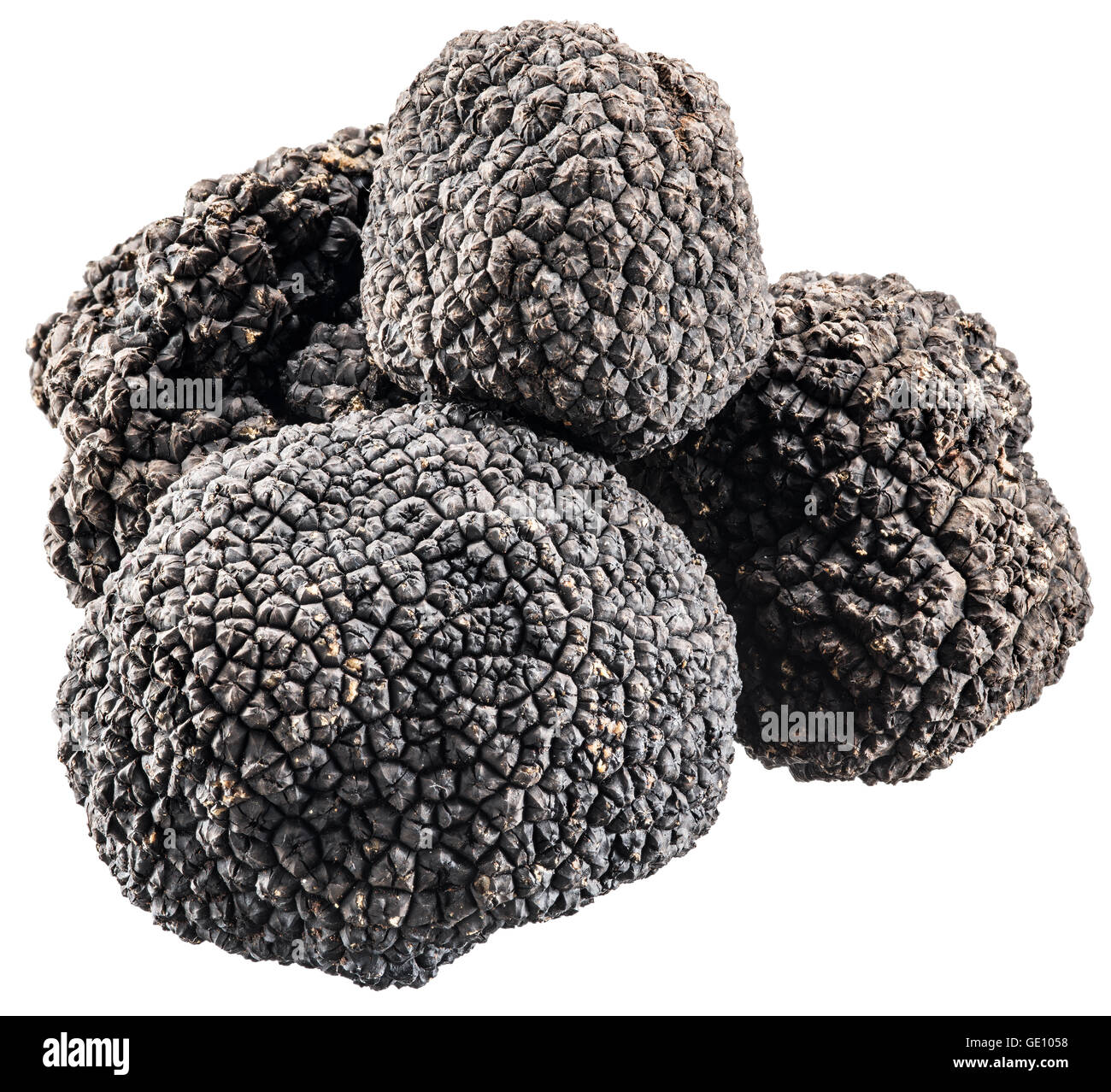 Black truffles. File contains clipping paths. Stock Photo