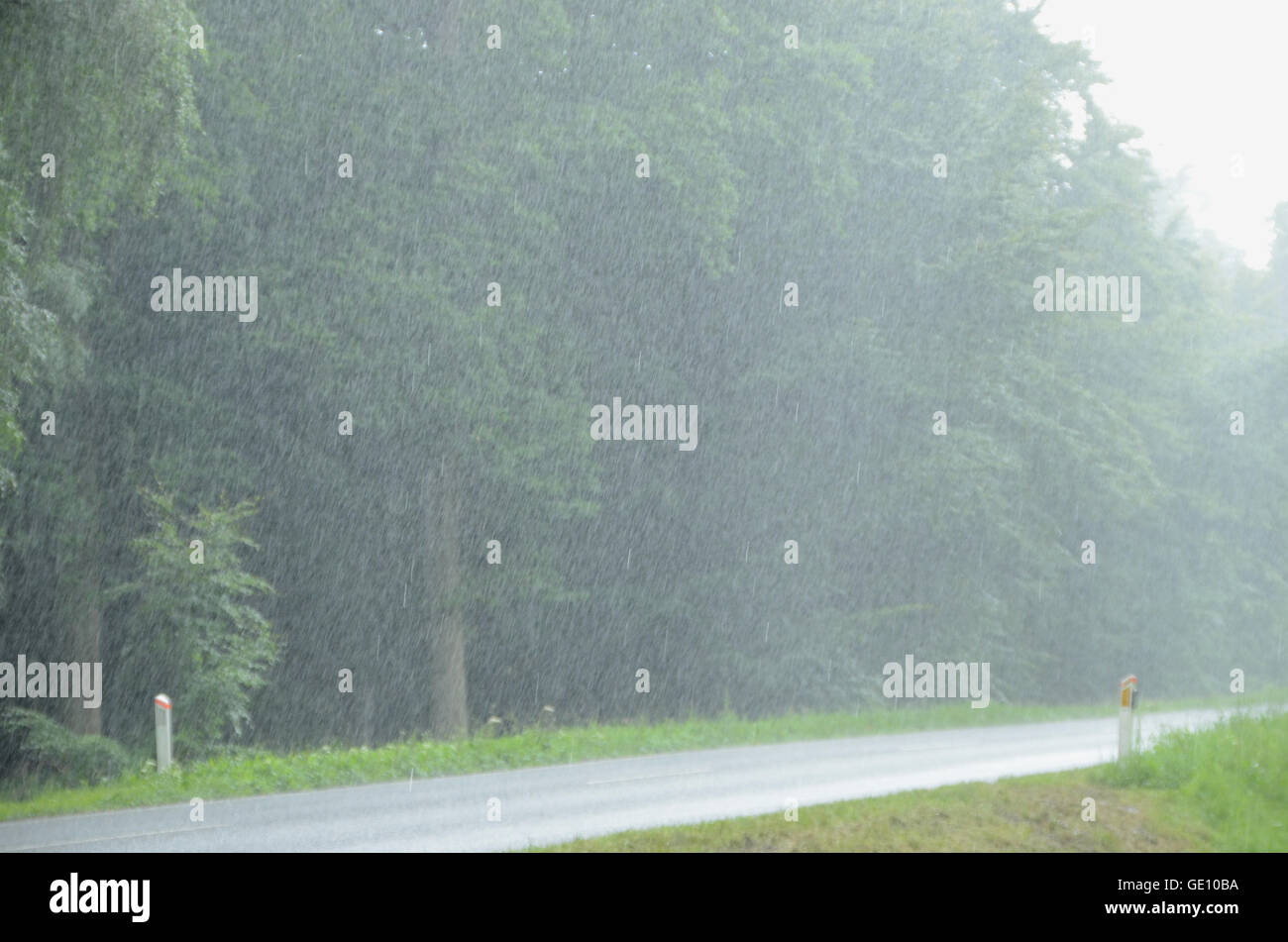 Empty road in strong rain. Stock Photo