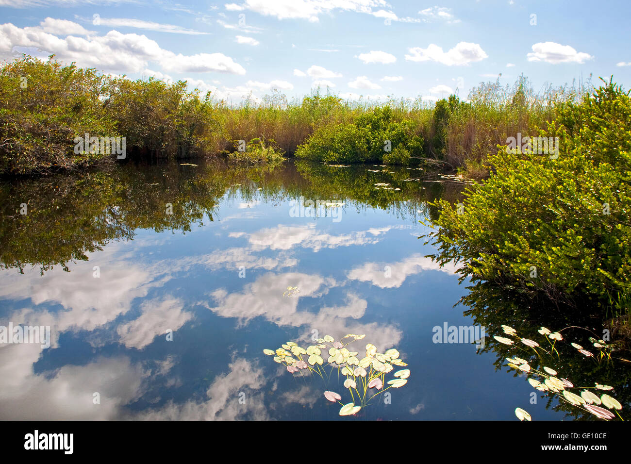 geography / travel, USA, Florida, Everglades National Park, Everglades