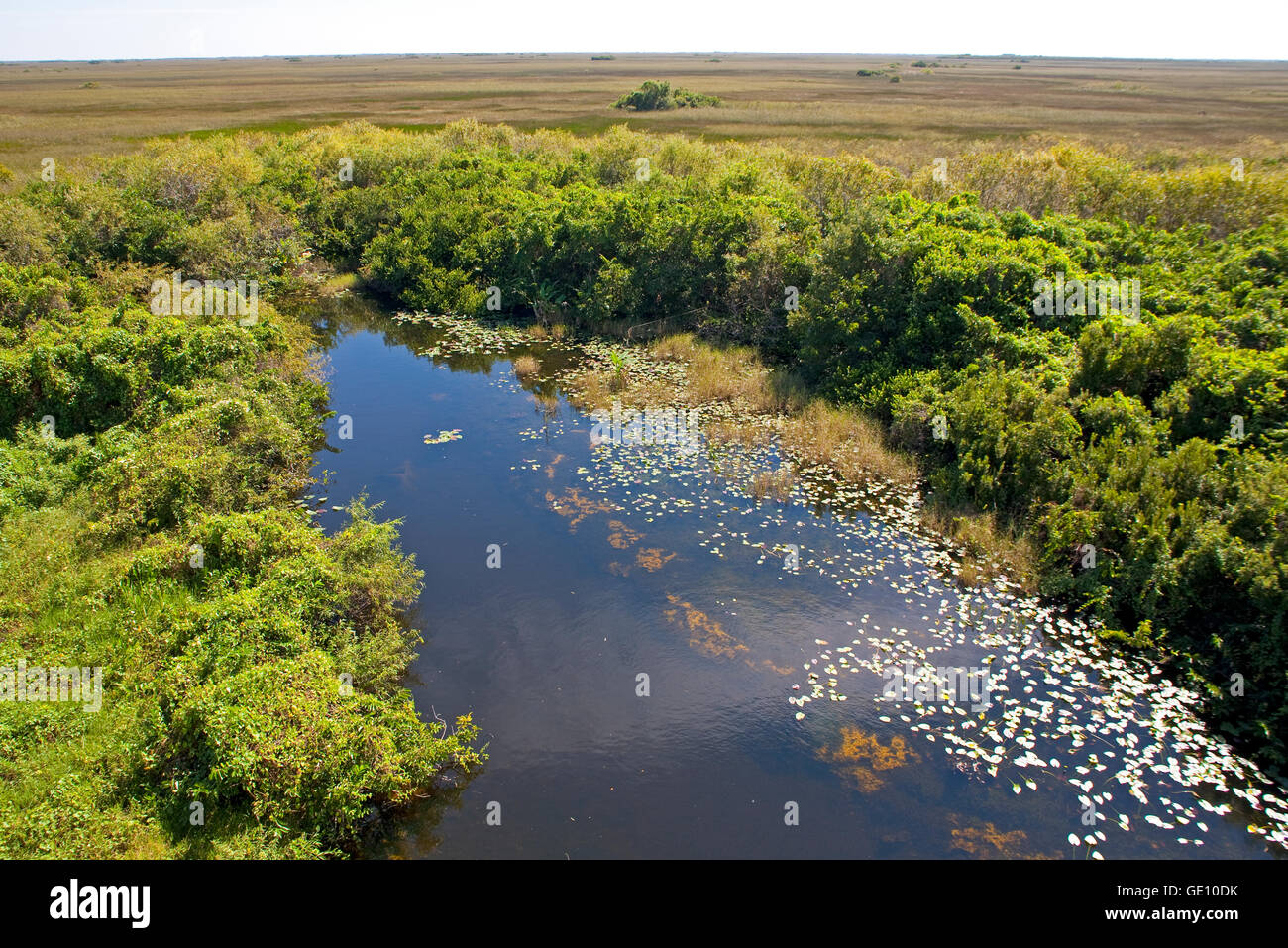 geography / travel, USA, Florida, Everglades National Park, Everglades