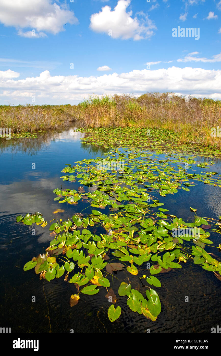 geography / travel, USA, Florida, Everglades National Park, Everglades