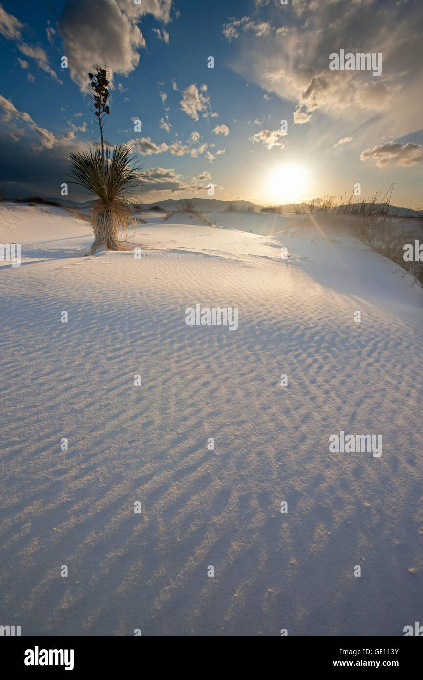geography / travel, USA, New Mexico, Alamogordo,White Sands National Monument, No-Exclusive-Use Stock Photo
