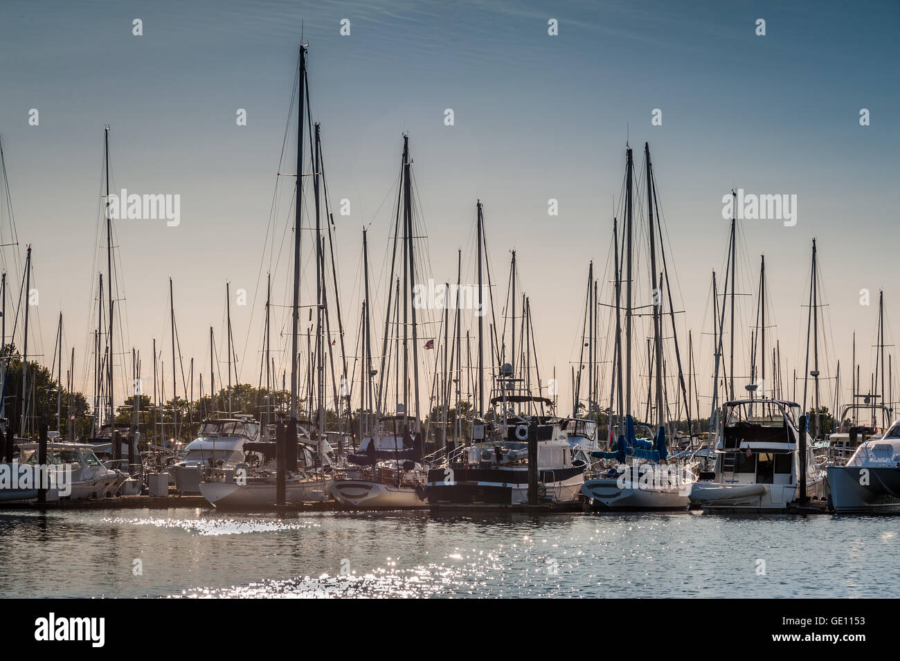 crowded masts in Point Roberts marina at twilight, Washington state, USA Stock Photo