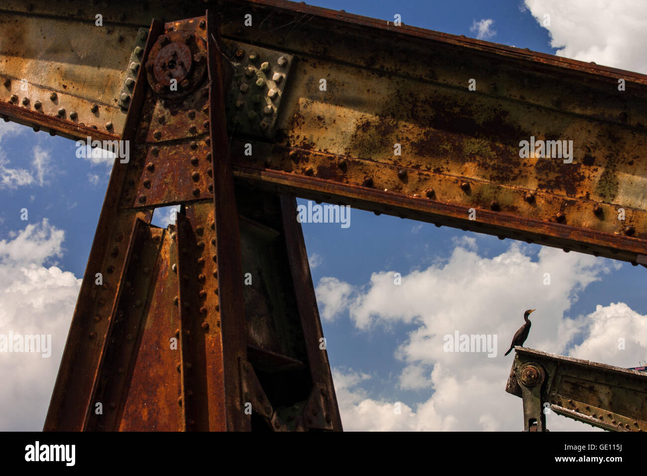 A bird sits on an iron lever used to raise and lower ramps for ...