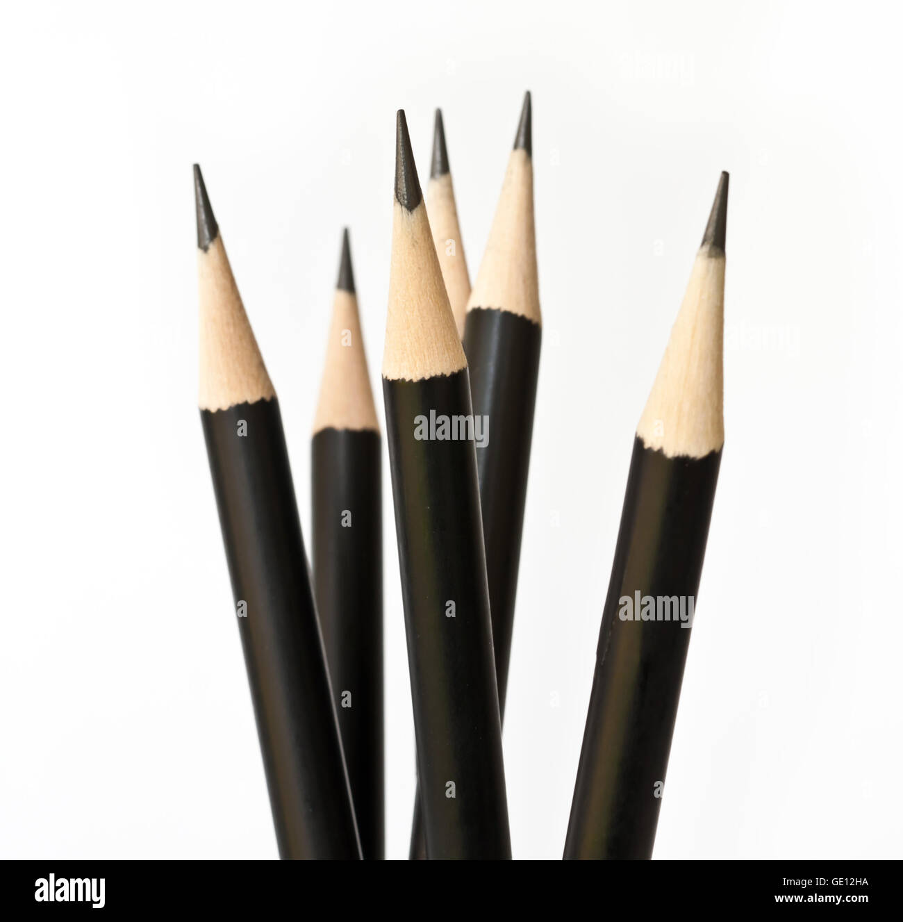 close-up of black pencil isolated on white background Stock Photo - Alamy