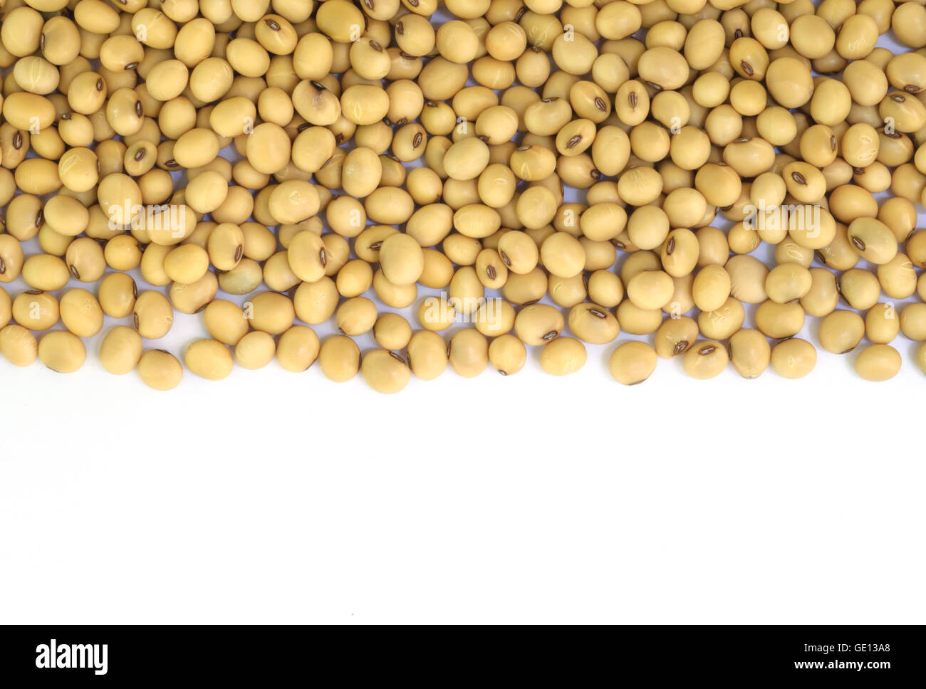 Closeup of soy beans  background. Stock Photo