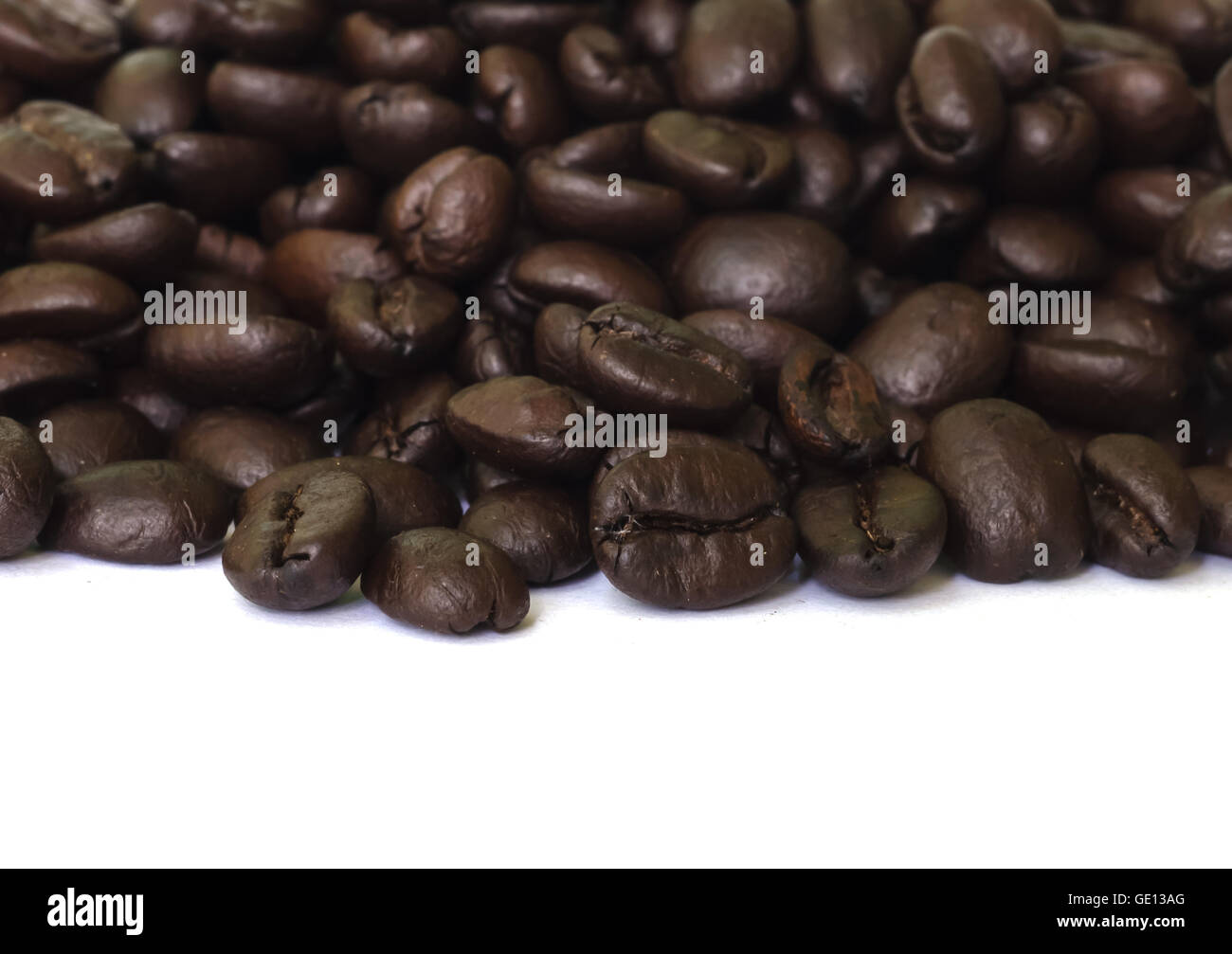 Coffee bean seed isolated on a white background Stock Photo Alamy