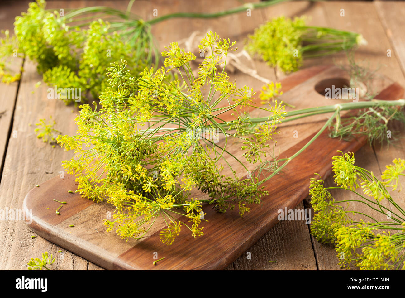 Raw Organic Pickling Dill Ready to Use Stock Photo Alamy