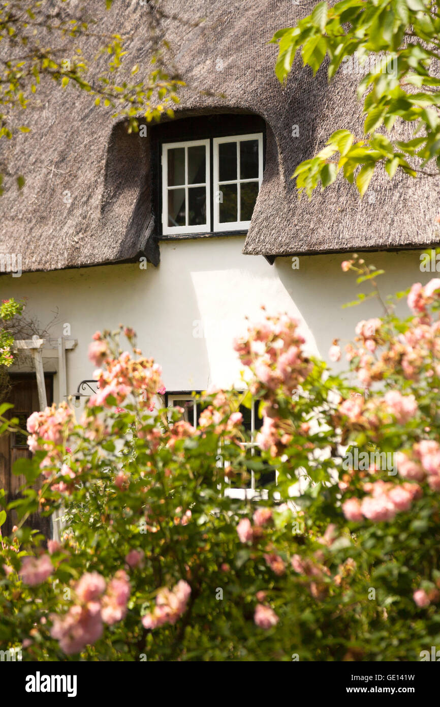Roses garden cottage england hi-res stock photography and images - Alamy