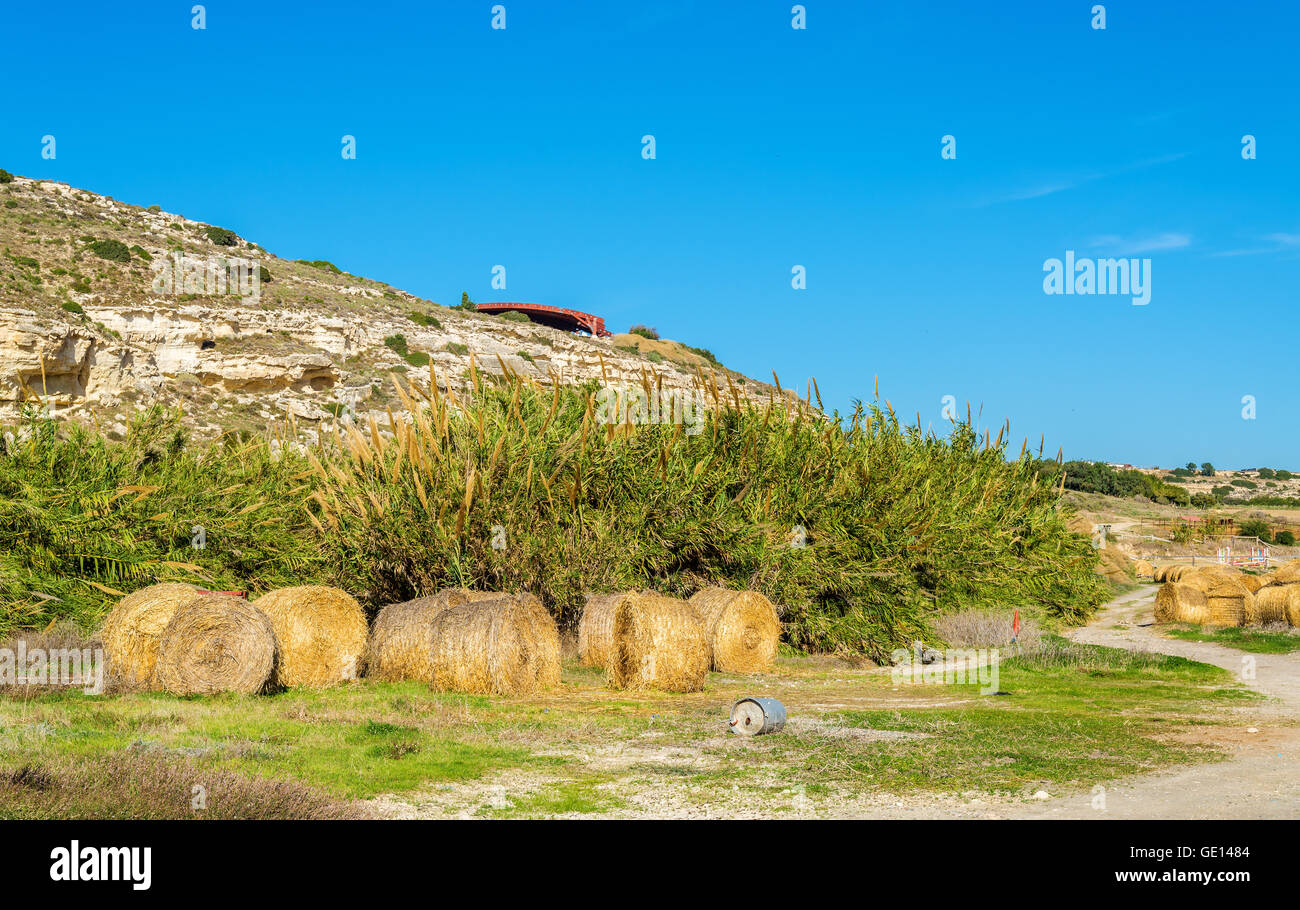Haystacks at the foot of the Kourion Mount - Cyprus Stock Photo