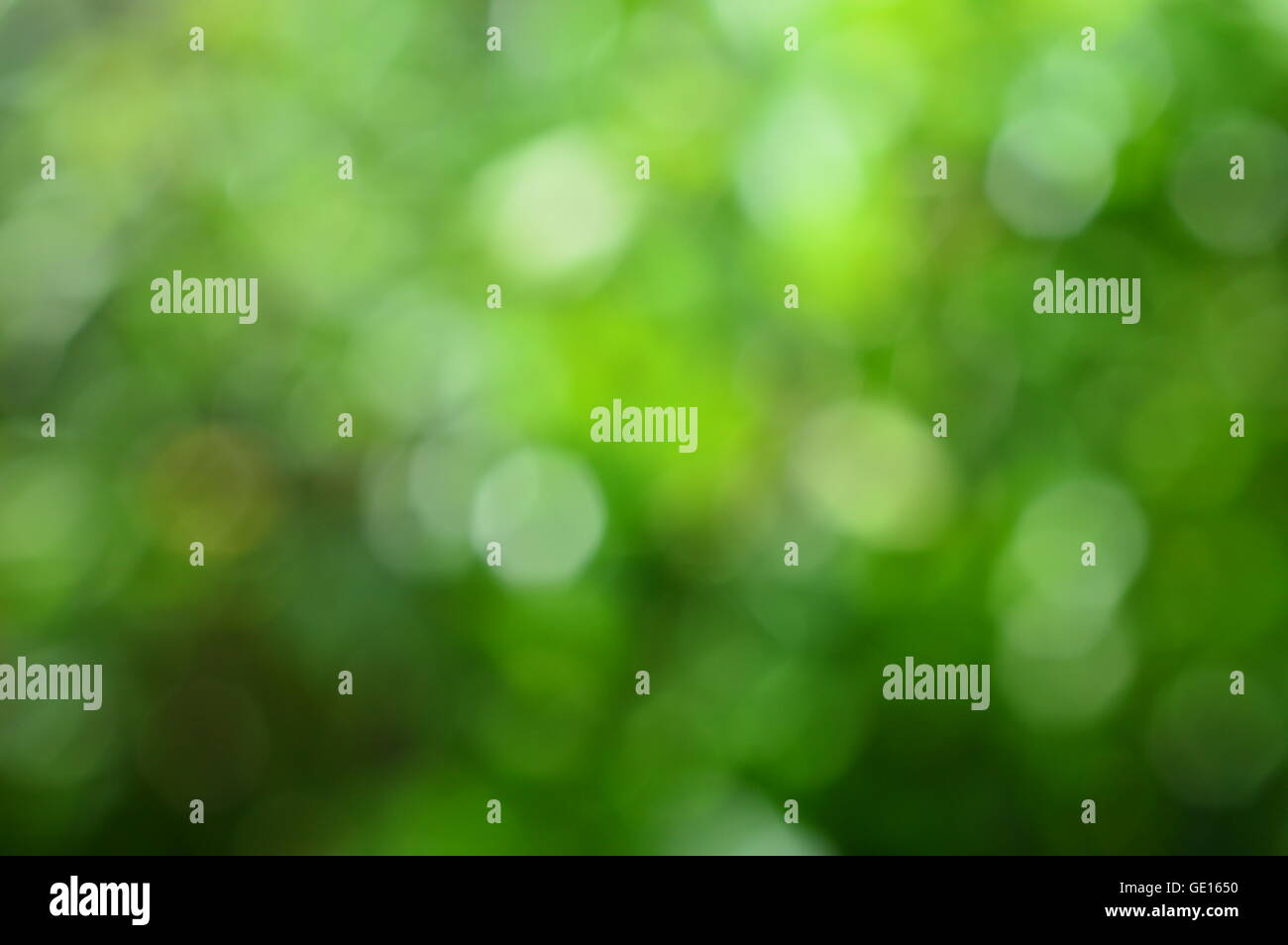 Abstract fresh green circle hi-res stock photography and images - Alamy