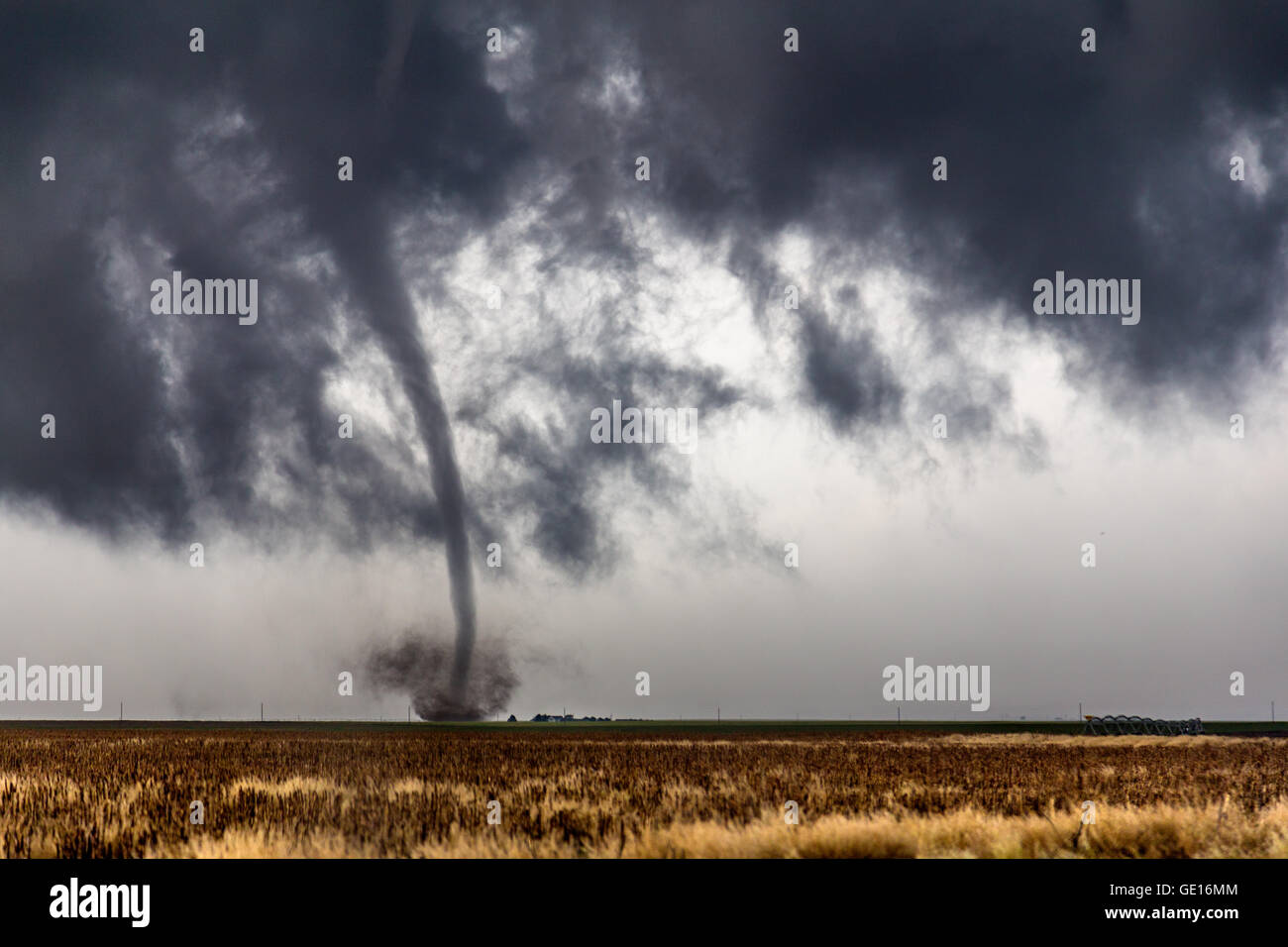A tornado descends from a supercell near Dodge City, Kansas, May 24, 2016.  This tornado was one of 15 tornadoes this storm produced. Stock Photo
