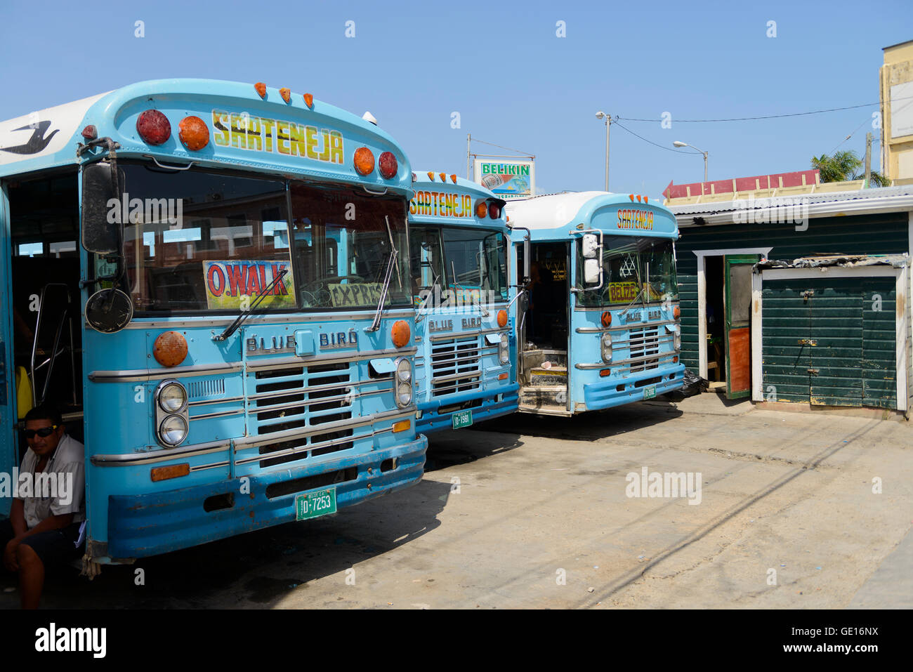 Belize City, Belize - July 14, 2016: Old Blue Bird buses still in service at a bus terminal in Belize City. Stock Photo