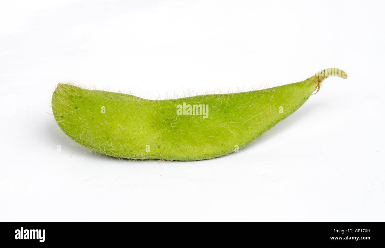 Green soybeans isolated on a white background Stock Photo Alamy