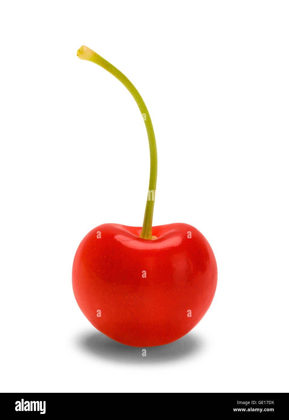 One Red Cherry Isolated on White Background. Stock Photo