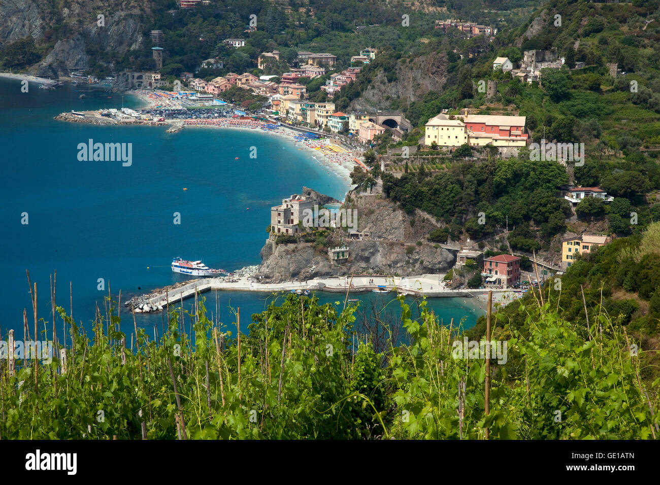 A vineyard grows on a hillside overlooking the Cinque Terre resort town of Monterosso, Italy. The five hillside coastal towns kn Stock Photo