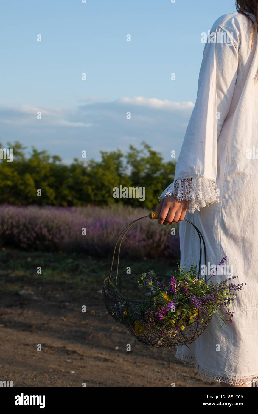 Rear view of woman in lavender field carrying basket with flowers Stock Photo