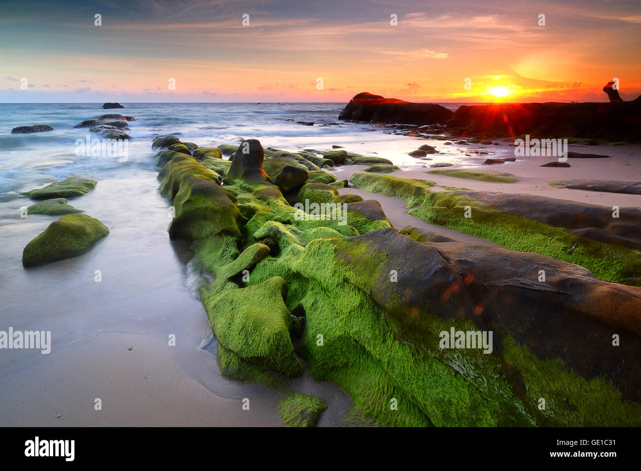 Moss covered rocks on beach, Kudat, Sabah, Malaysia Stock Photo