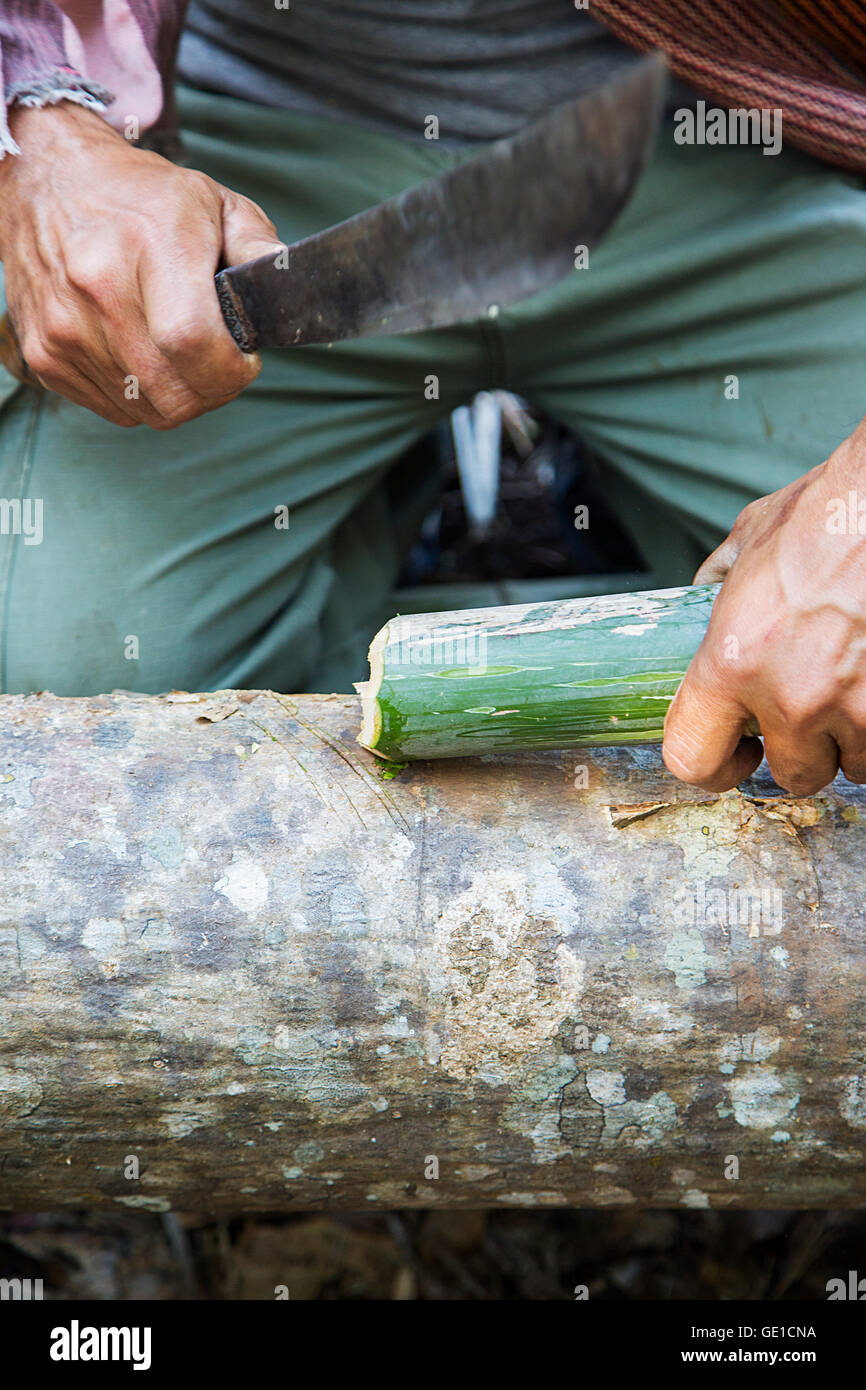 Man sawing bamboo in Chiang Mai, Thailand Stock Photo