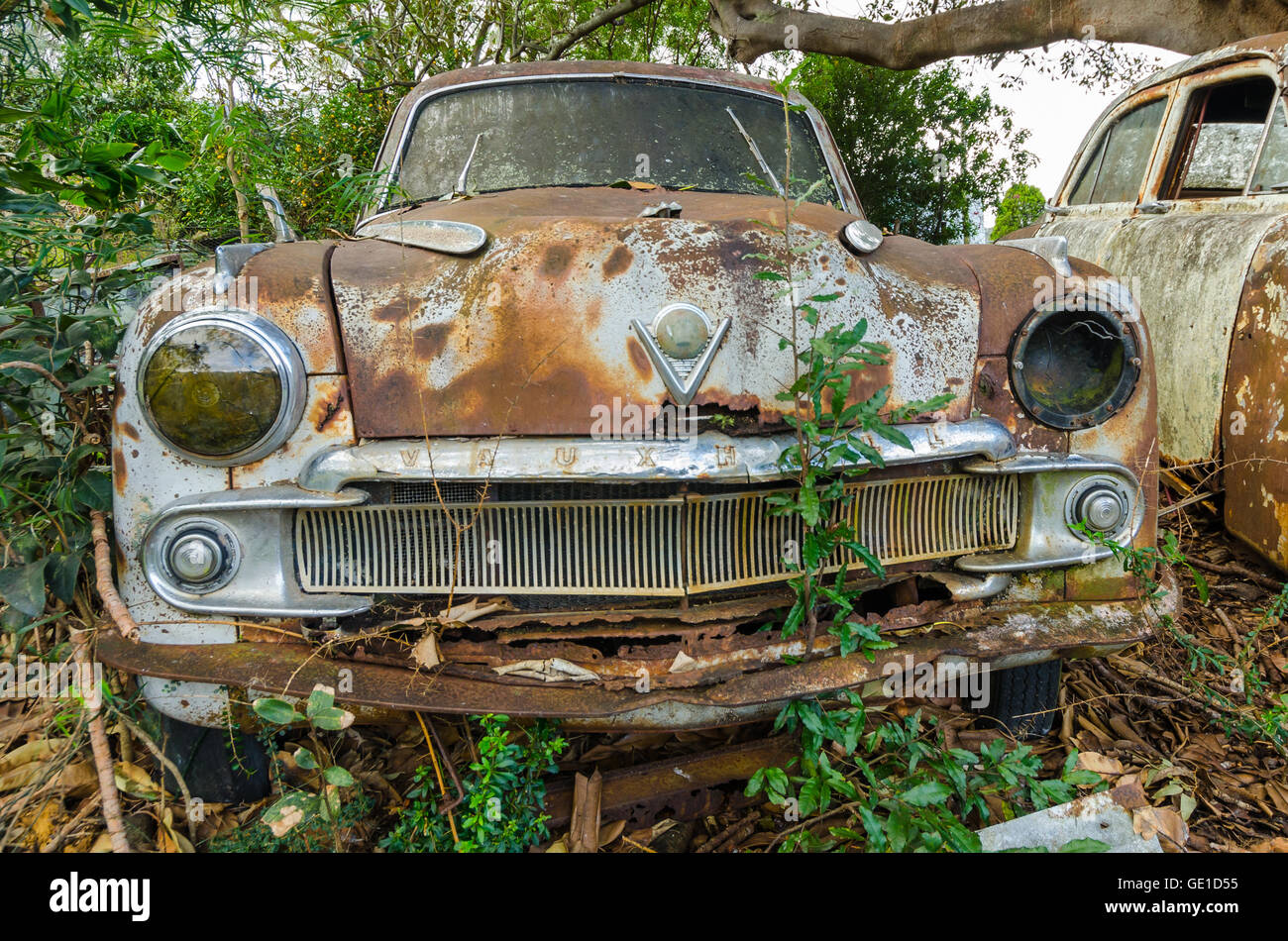 Vauxhall left to decompose in the jungle Stock Photo