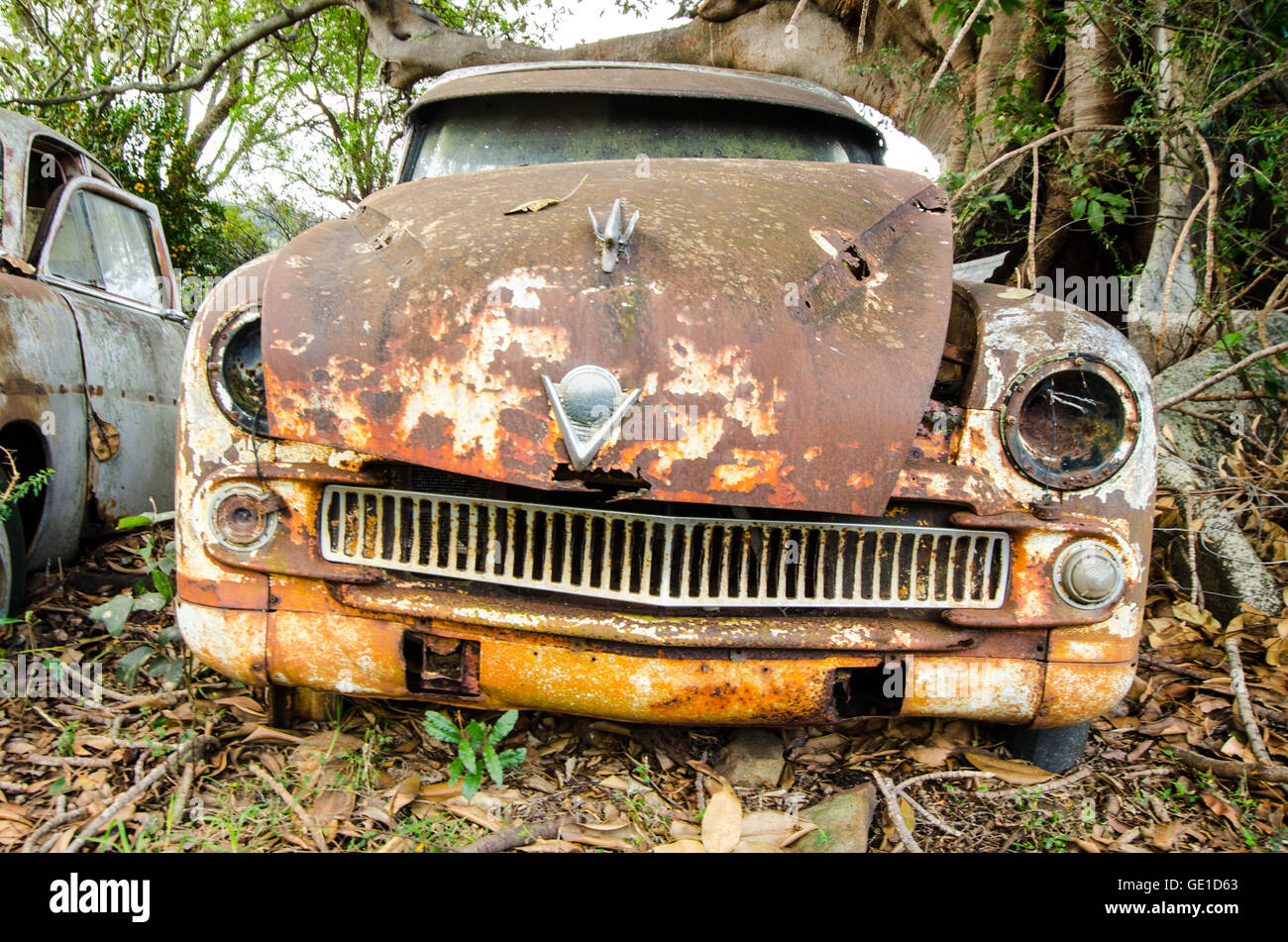 Vauxhall left to decompose in the jungle Stock Photo