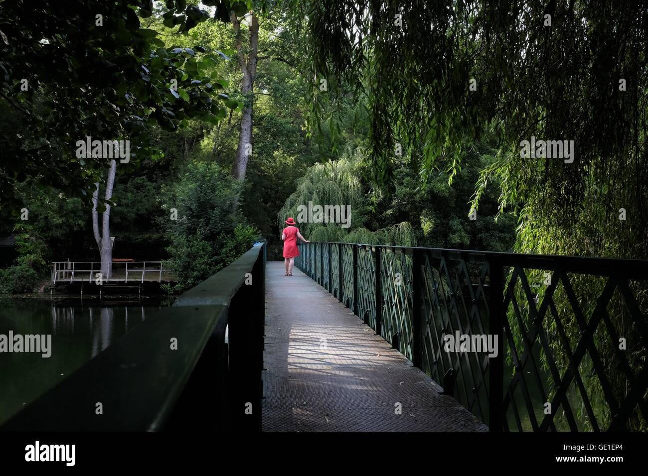 Woman walking along treetop walkway, Niort, France Stock Photo