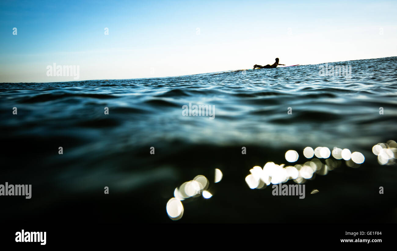 Woman in ocean paddling on surfboard, Malibu, California, United States Stock Photo