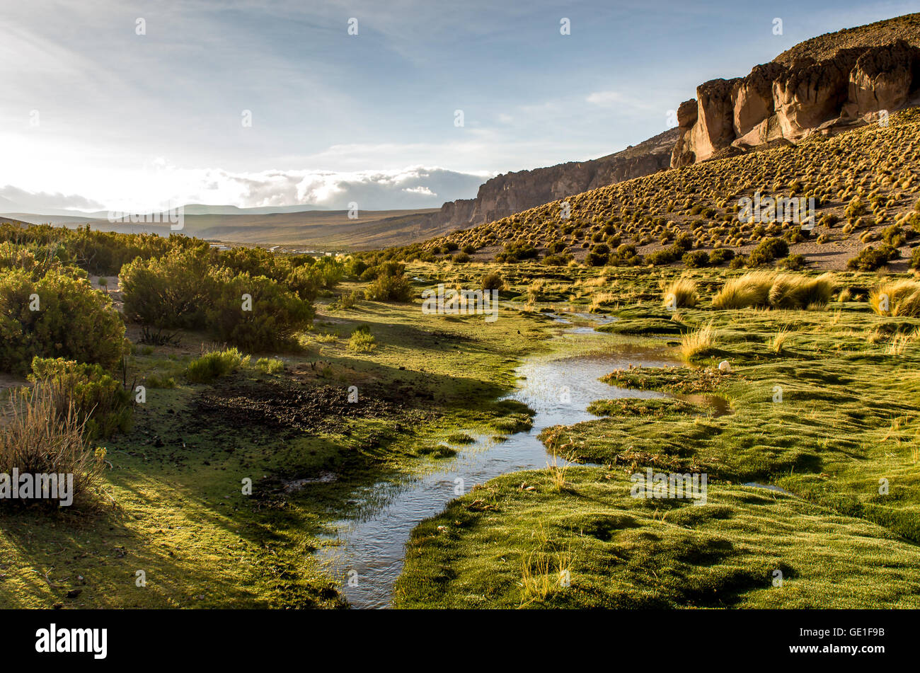 River and altiplano at sunset, Colchane, Tarapaca, Chile Stock Photo