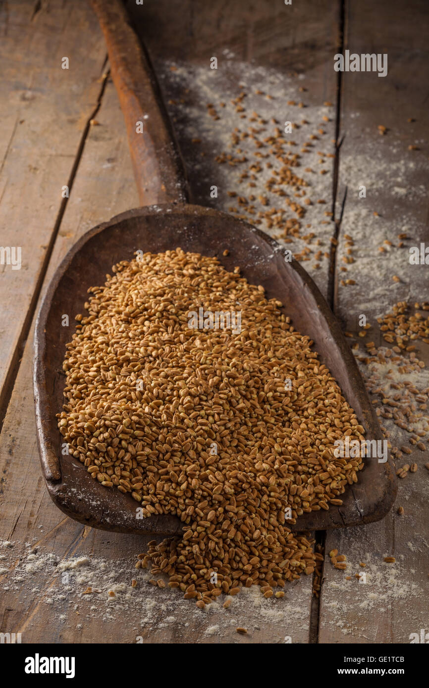 Bread flour and wheat  on a wooden bakers shovel. Stock Photo