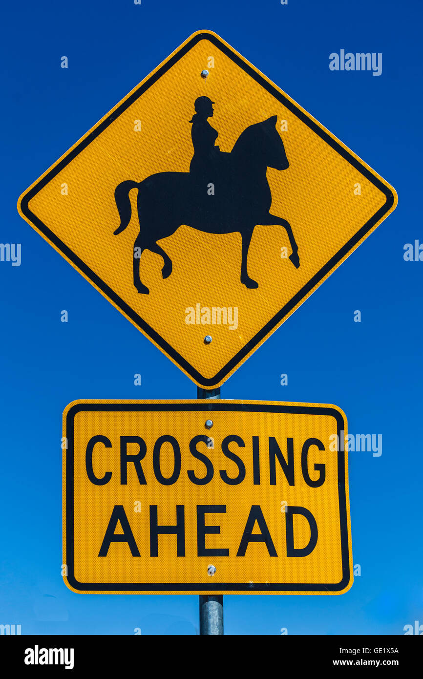 Warning horses hires stock photography and images Alamy
